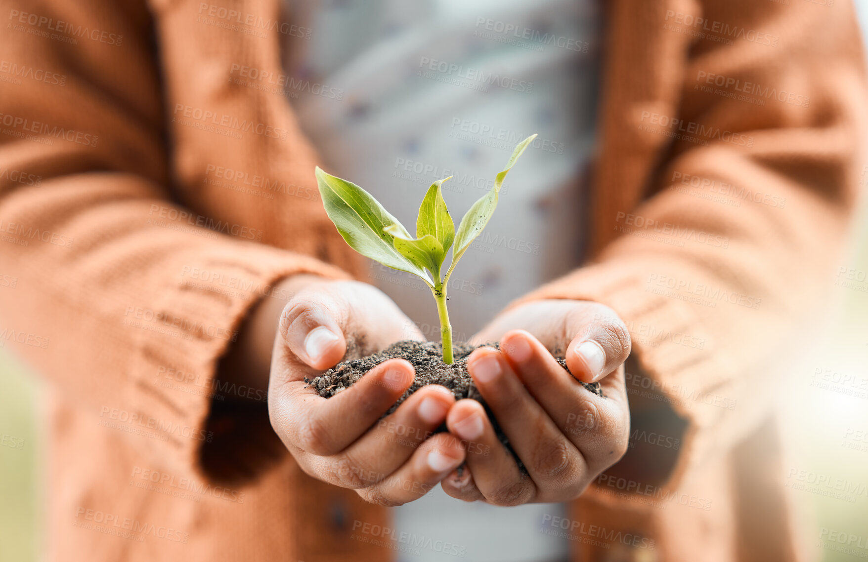 Buy stock photo Shot of a unrecognizable girl holding a plant outside