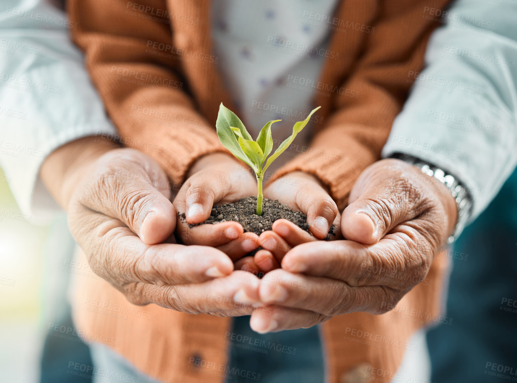 Buy stock photo Elderly man, child and plant in hands for growth, development and support in relationship. Parent, kid and closeup with fresh sapling in soil for hope, responsibility and trust for environment care