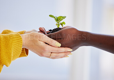 Buy stock photo Shot of an unrecognisable man and woman holding a plant growing out of soil