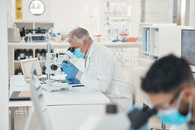 Buy stock photo Shot of a mature scientist using a microscope in a lab