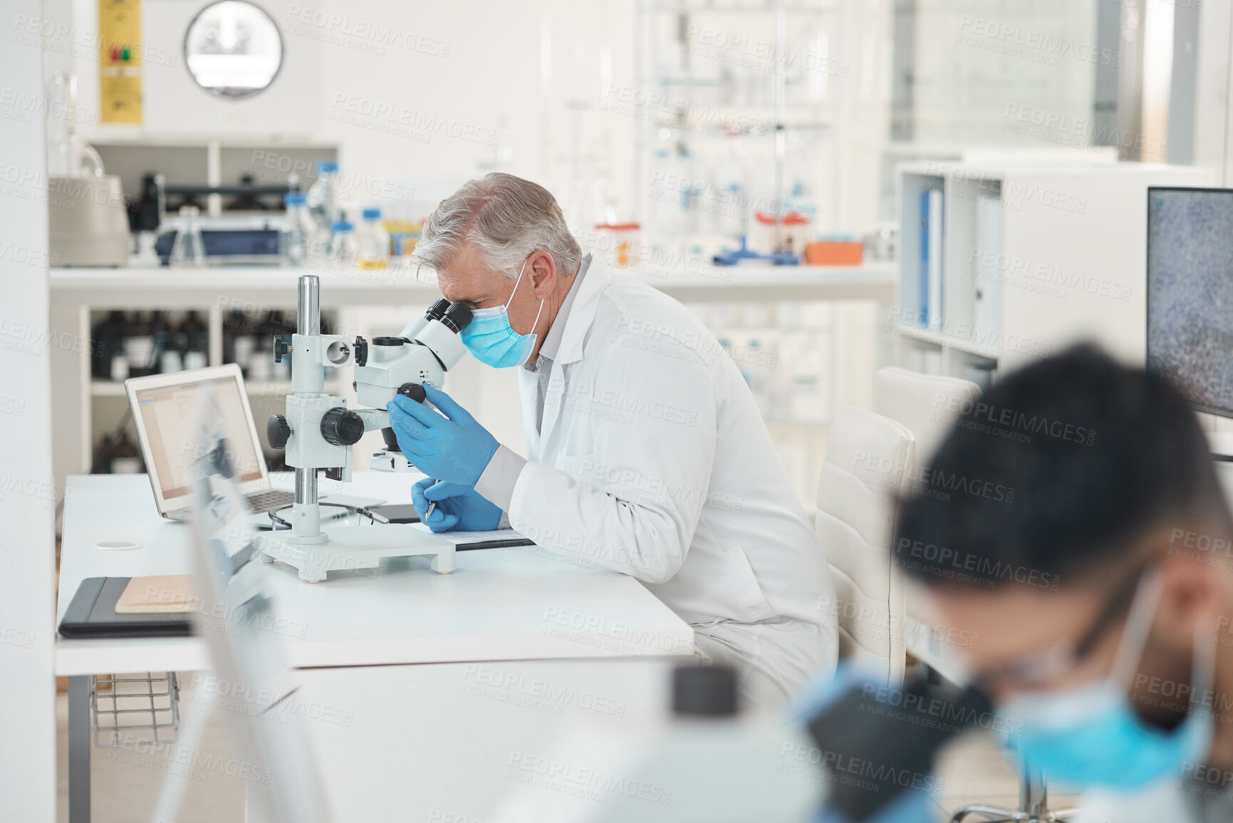 Buy stock photo Shot of a mature scientist using a microscope in a lab