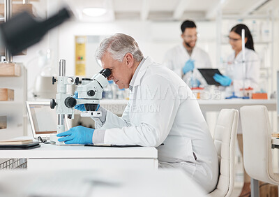 Buy stock photo Shot of a mature scientist using a microscope in a lab