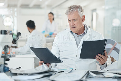 Buy stock photo Science, laboratory and mature man with files for research, data management or pharmaceutical results. Paperwork, healthcare report and senior scientist at desk reading documents for medical study