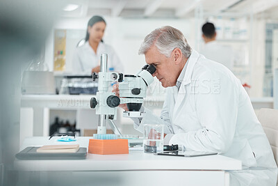 Buy stock photo Scientist, mature man and microscope in lab for disease experiment, medical study and dna process. Researcher, biotechnology and molecule exam of engineering, vaccine research and healthcare solution