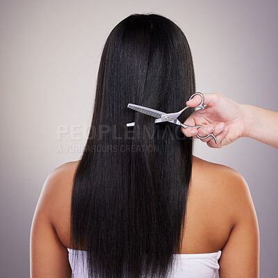 Buy stock photo Woman, cut and hairdresser with scissors in studio grey background for grooming and trimming. Female person, beauty and salon style isolated on backdrop for fresh, glow and maintenance with back view