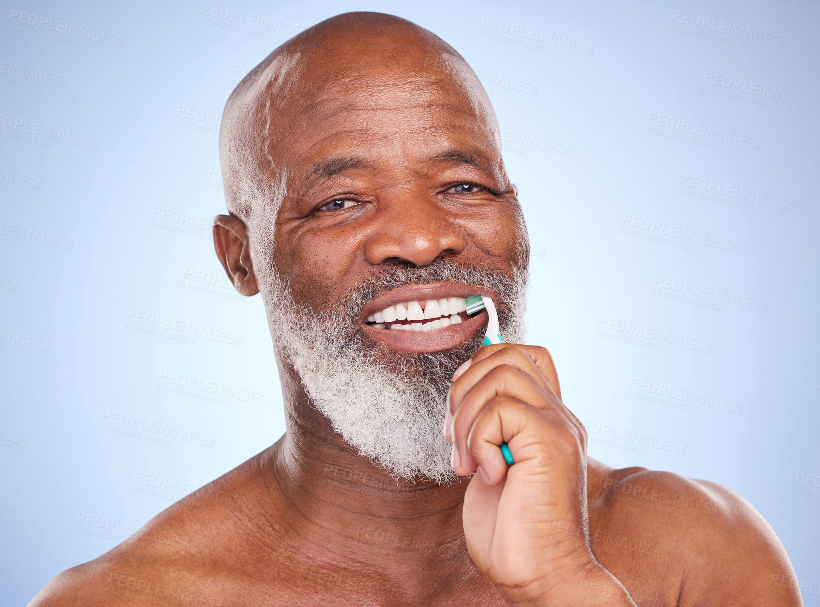 Buy stock photo Brushing teeth, portrait and black man for dental healthcare, studio and oral hygiene on blue background. Plaque, clean with tooth brush for mature person, beauty or toothpaste for fresh breath