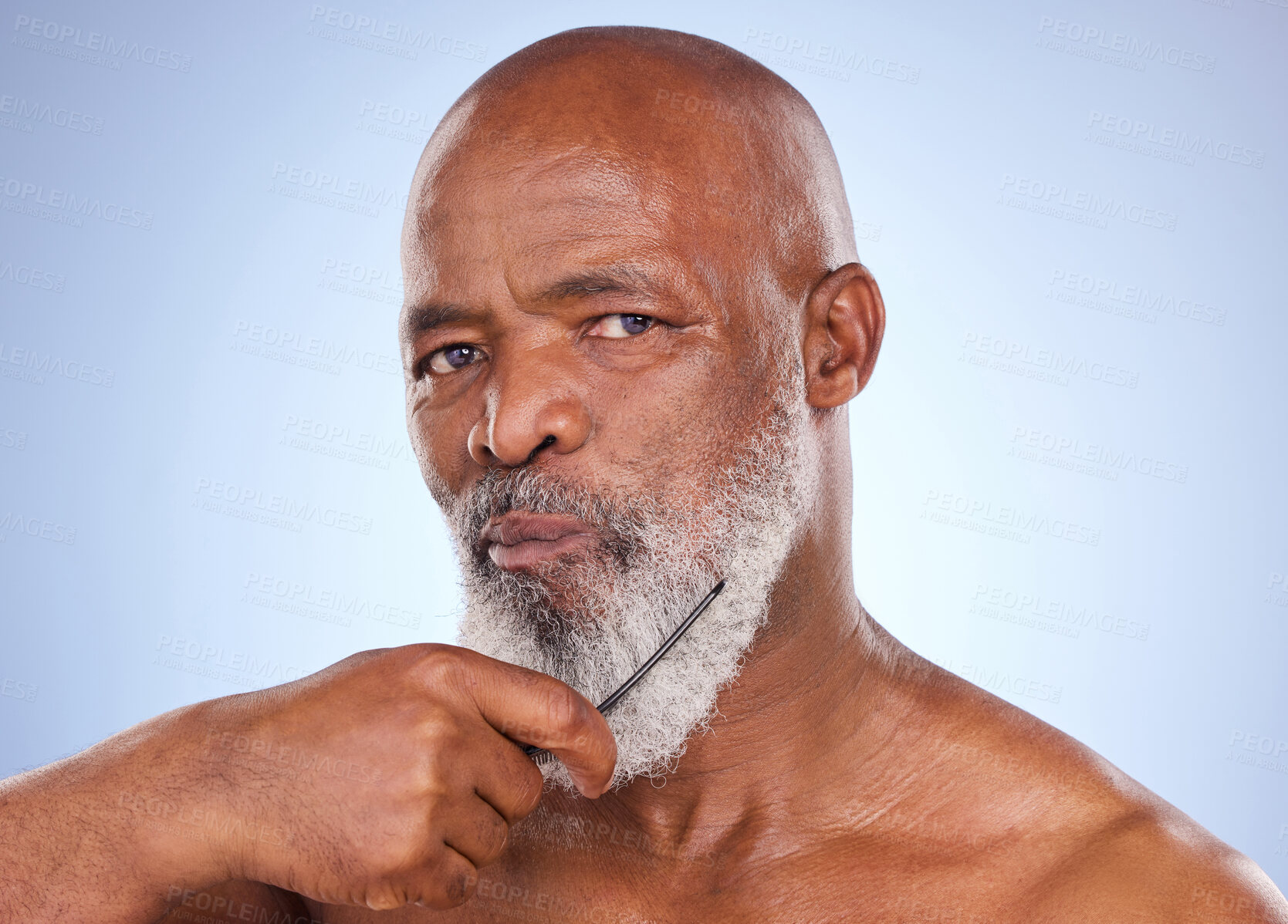 Buy stock photo Senior black man, portrait and beard with comb isolated on blue background for grooming. Style, beauty and hygiene with treatment or brush cosmetics in studio with gray hair, clear skin and wellness.