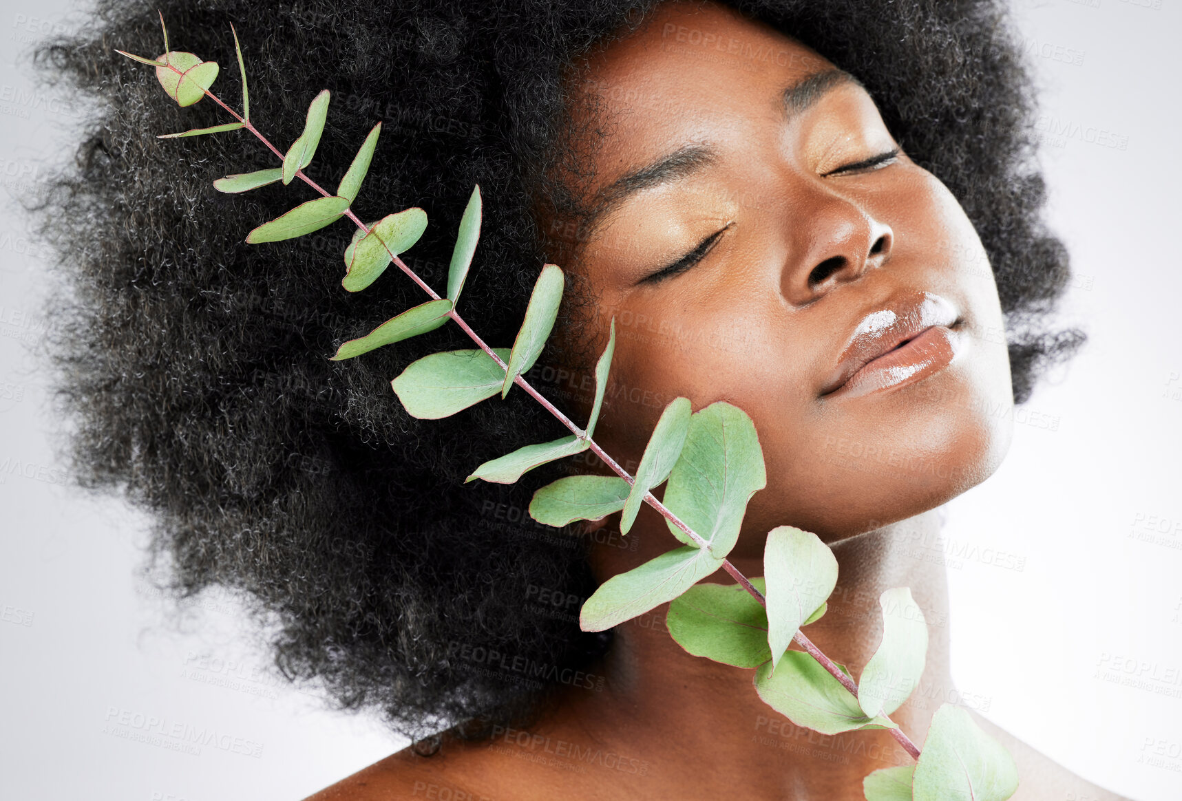 Buy stock photo Studio shot of an attractive young woman posing with a plant against a grey background