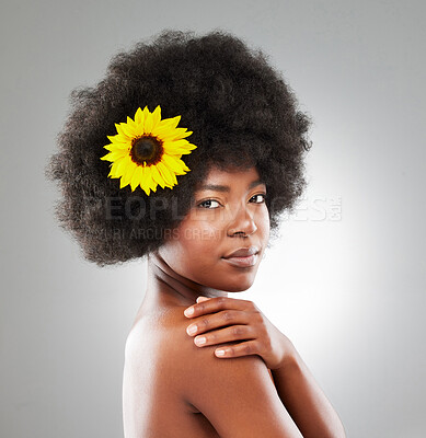 Buy stock photo Black woman, portrait or sunflower for natural haircare or aesthetic, beauty transformation for afro. African person, studio or floral cosmetics on white background for salon treatment or skincare