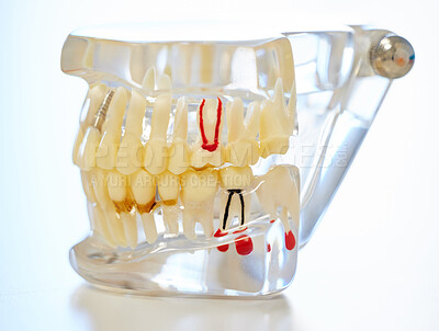 Buy stock photo Shot of a mould of teeth in a dentist’s office