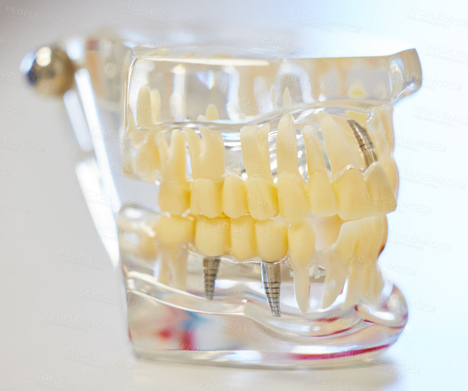 Buy stock photo Teeth model, healthcare and tool on table for dental education, tooth whitening and oral care. Dentistry, patient awareness and orthodontist with model for mouth hygiene, dentures or gum inspection