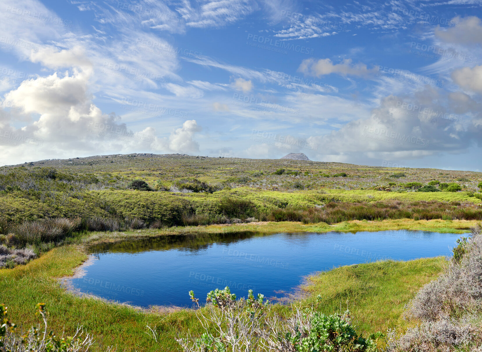 Buy stock photo The wilderness of Cape Point National Park, Western Cape, South Africa