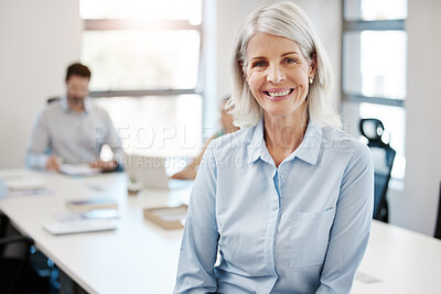 Buy stock photo Portrait of a confident mature businesswoman in an office