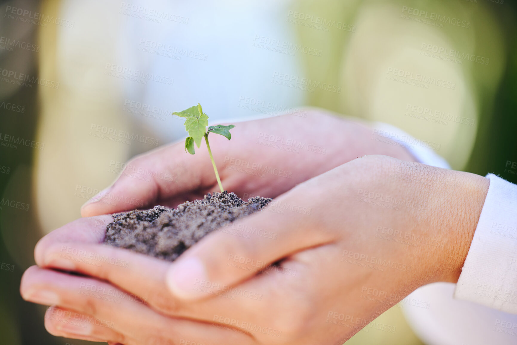 Buy stock photo Person, hand and plant in soil for earth day closeup with growth and seed sprout in nature for sustainable gardening. Spring, leaf and ecology for eco friendly agriculture and  environment awareness