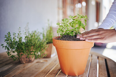 Buy stock photo Person, hand and plant in pot with soil for earth day closeup with growth and progress in sustainable gardening. Farmer, leaf and eco friendly innovation in ecology and environmental awareness