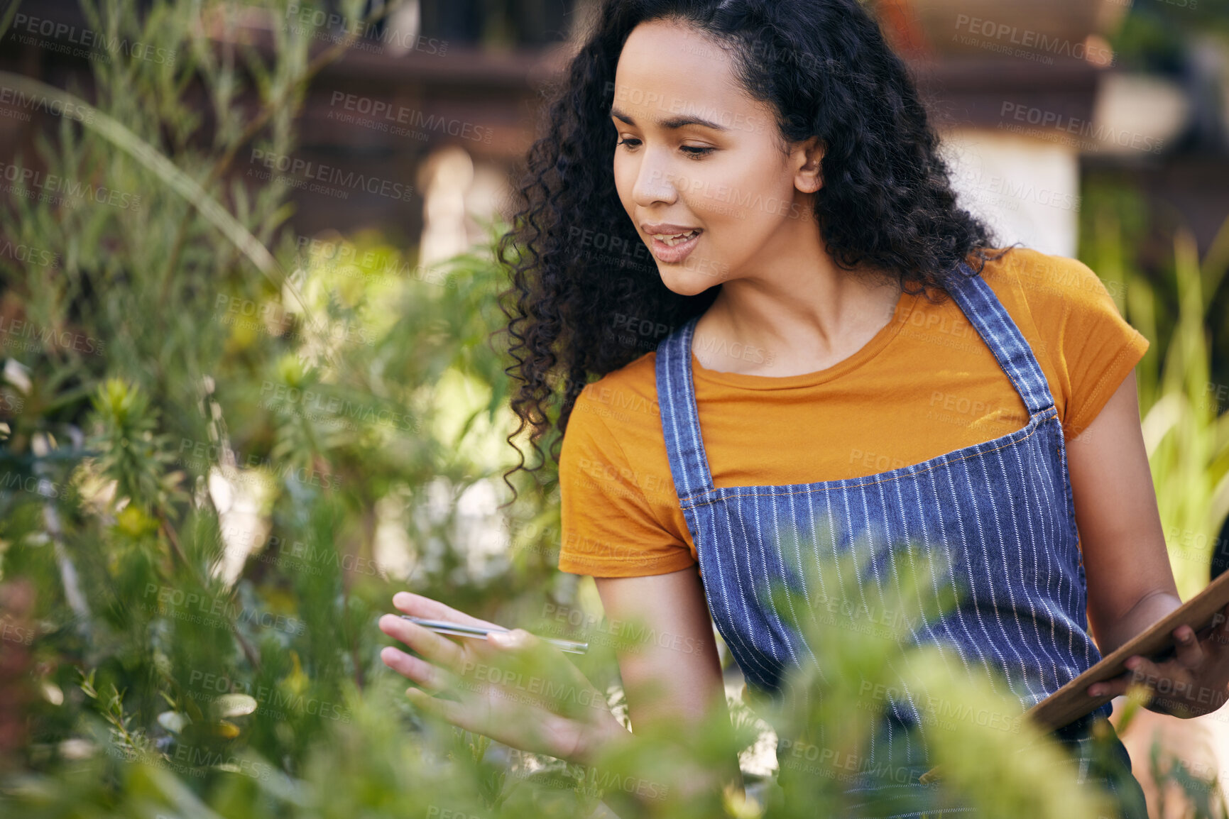 Buy stock photo Clipboard, florist and smile for check, woman and entrepreneur with apron, spring and growth of plants. Small business, nature and person in garden, ecology and service for shop, green and outdoor