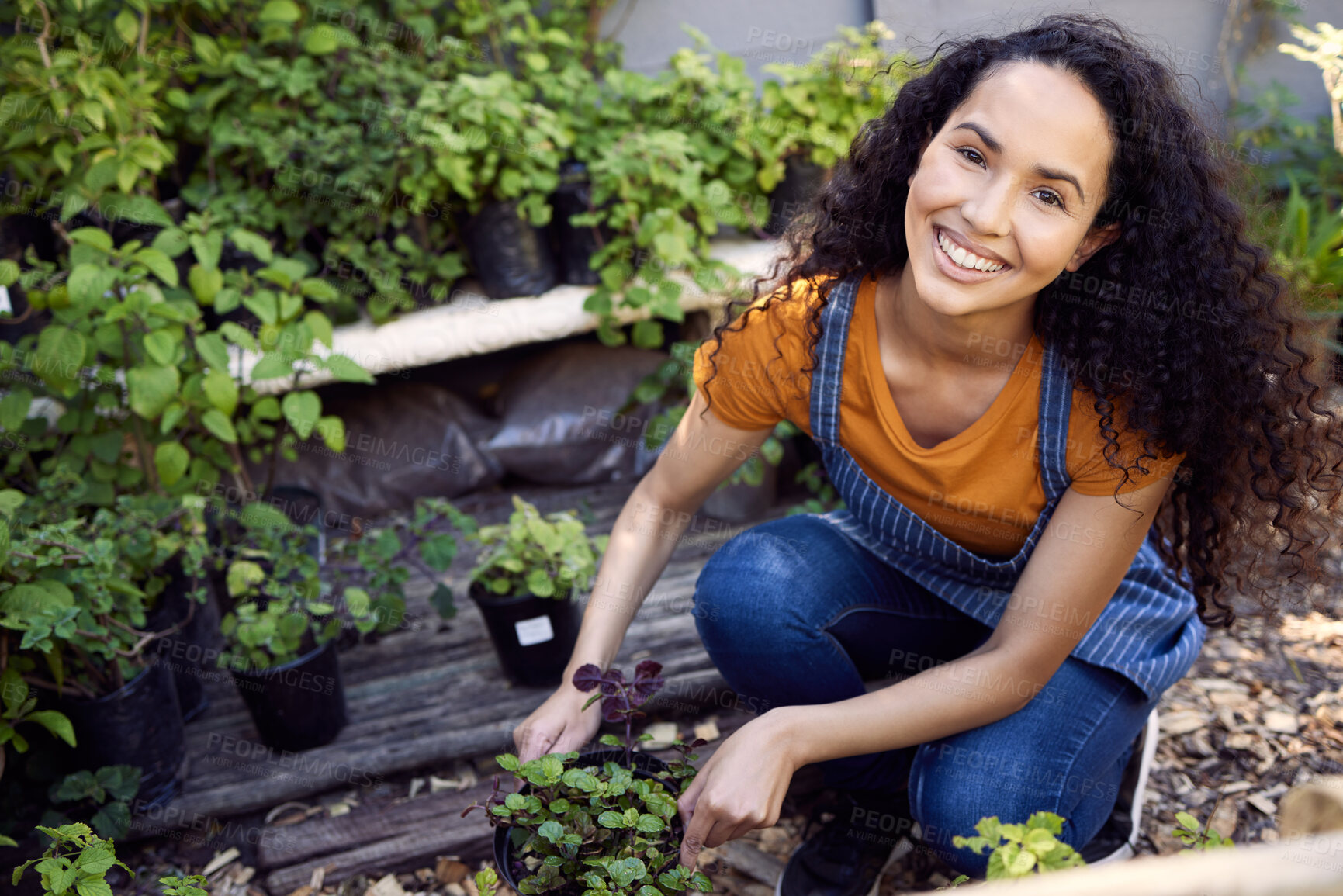 Buy stock photo Gardening, florist and portrait of woman, plants and entrepreneur with apron, spring and growth of flower. Small business, nature and person in garden, ecology and service for shop, green and outdoor