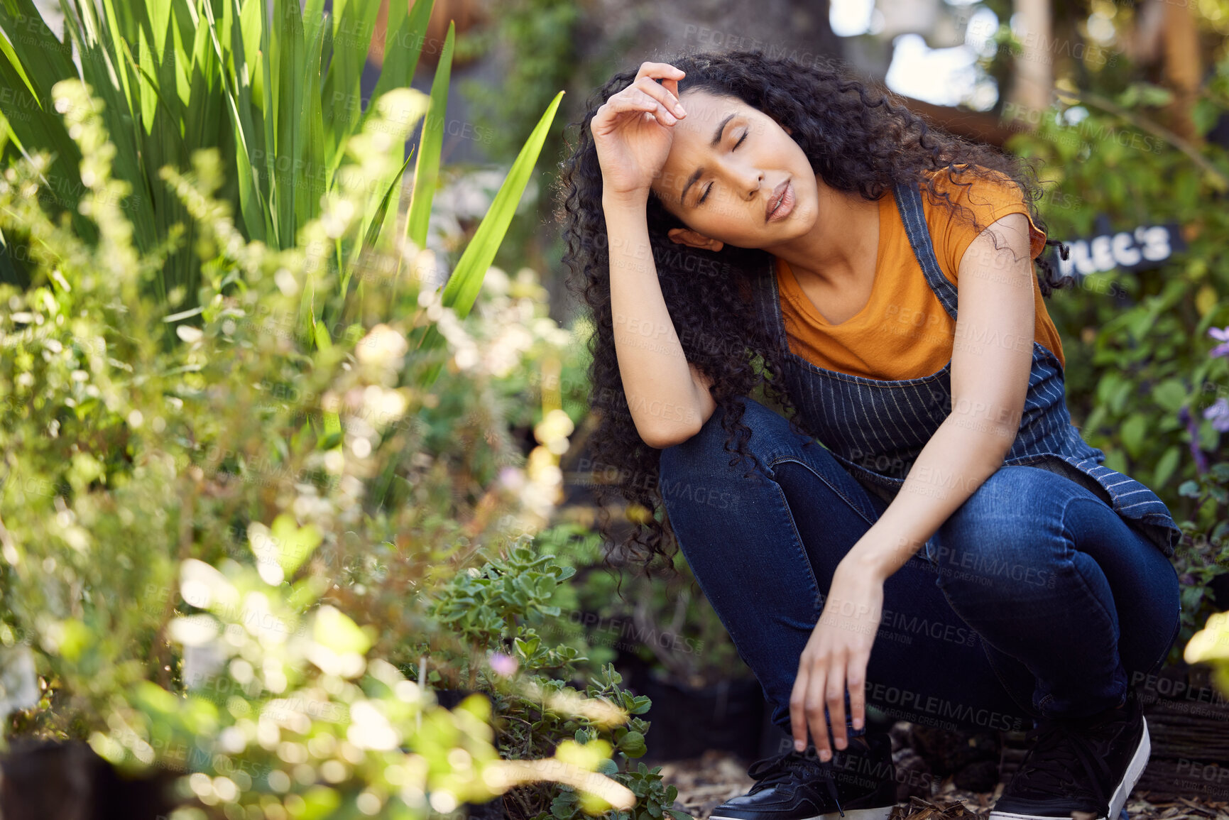 Buy stock photo Plant, woman or gardener with headache of stress, burnout and overworked in small business. Florist, exhausted and fatigue with sick or pain of work pressure, problem and backyard of shop owner