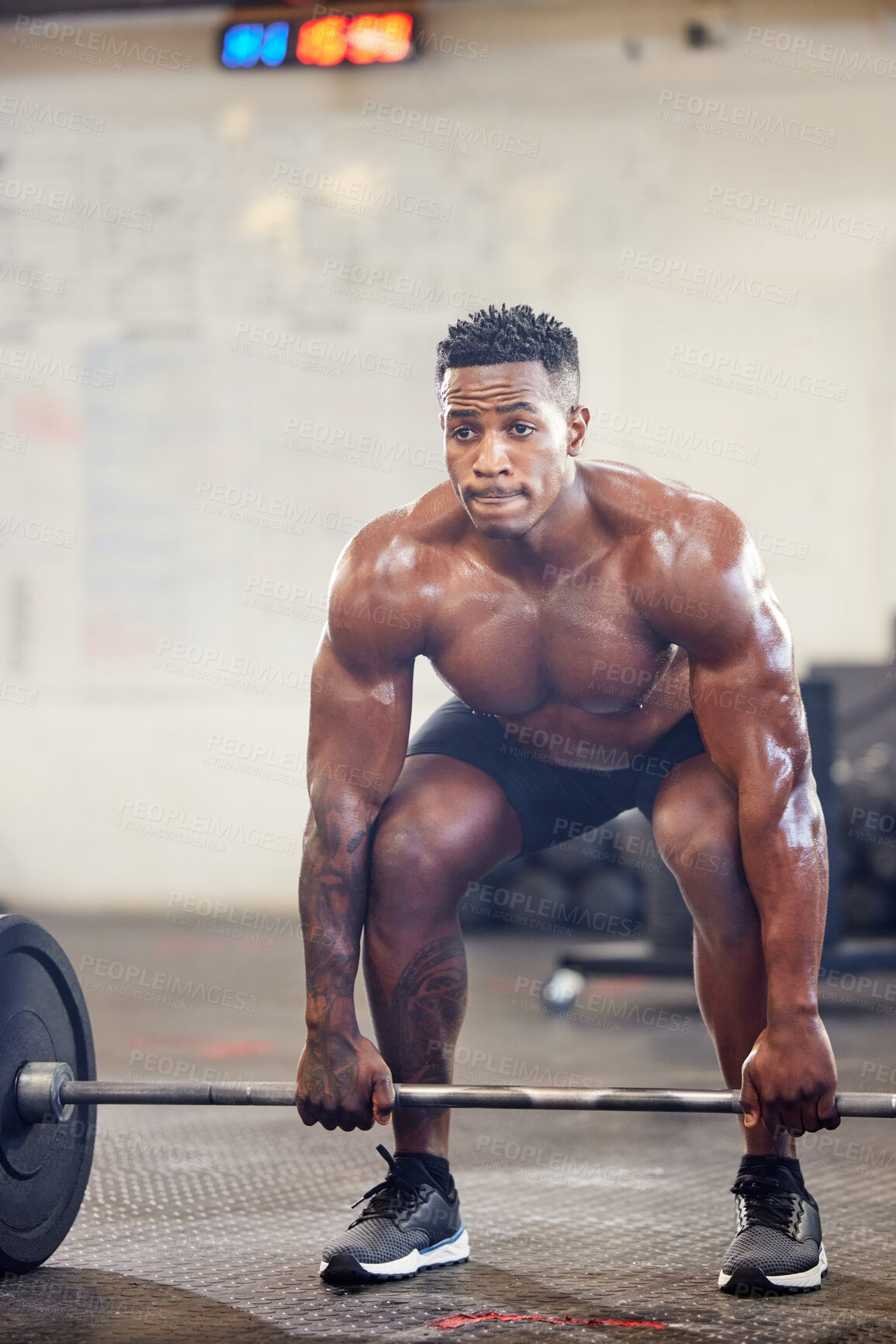 Buy stock photo Black man, fitness and bodybuilder weightlifting for workout, exercise or training at the gym. African male person or muscular bodybuilding lifting barbell for strength sports or intense exercising