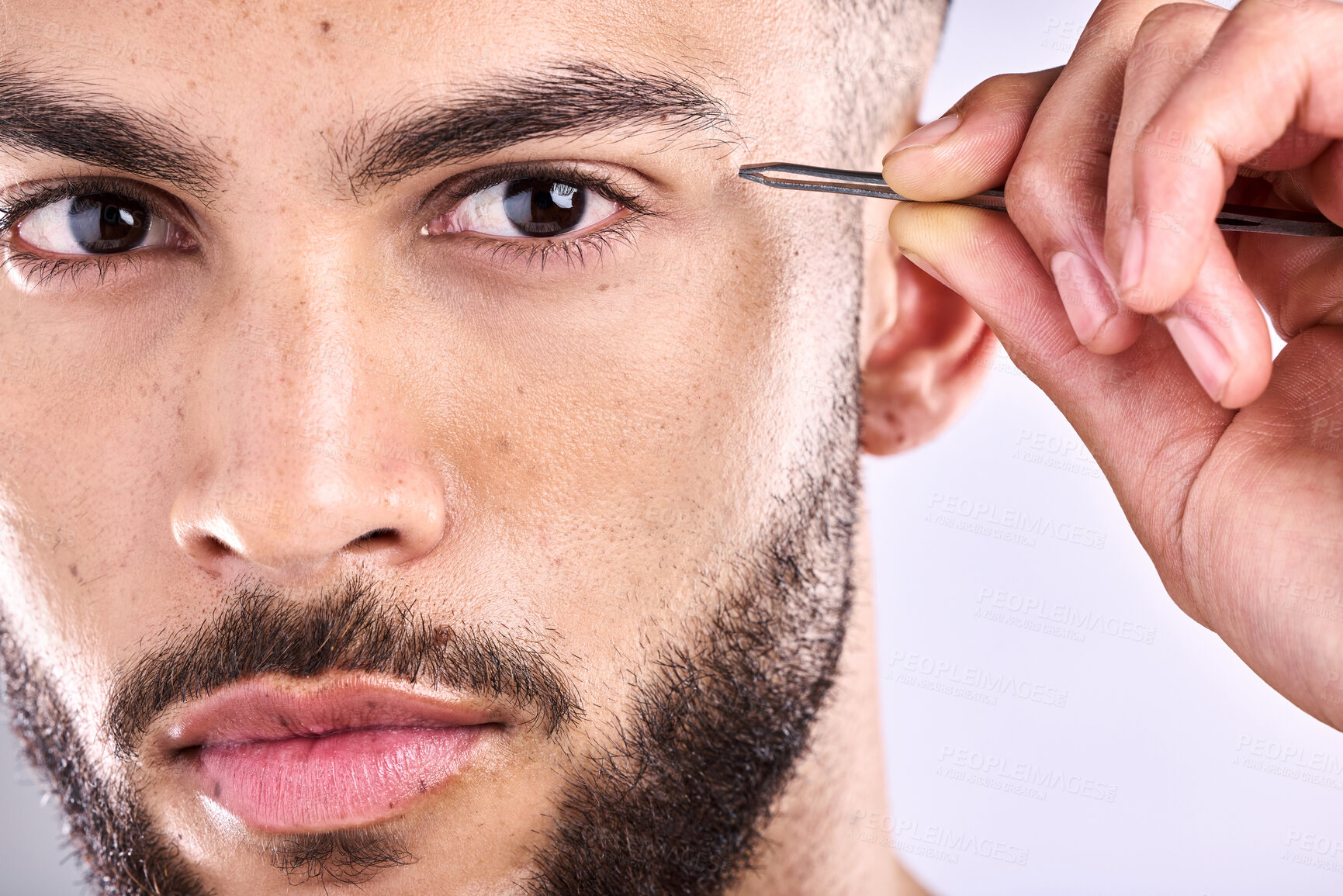 Buy stock photo Man, portrait and tweezers for eyebrow on face in studio, selfcare and personal grooming. Model, hygiene and person plucking for hair removal or beauty, cosmetic and treatment in grey background