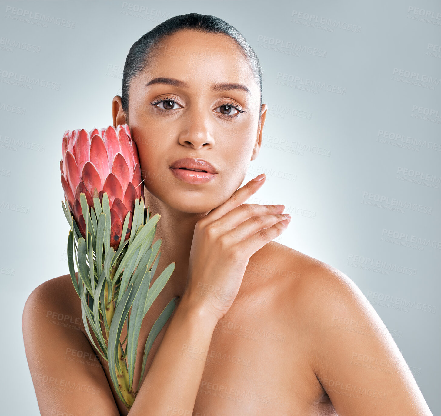 Buy stock photo Portrait, woman and skincare with plant in studio on white background for organic or natural treatment. Female person, confident and protea flower for skin glow, smooth and sustainability or wellness