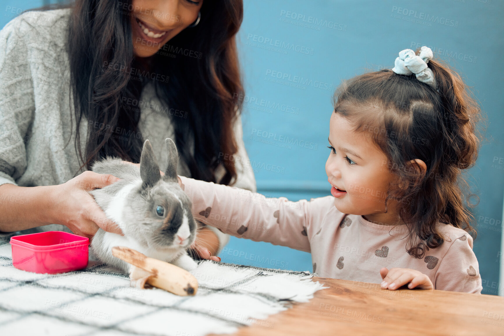 Buy stock photo Mother, smile and kid pet bunny for love, care and easter holiday celebration in family home. Mom, happy girl and playing with rabbit friend for learning, touching and child feeding animal on table