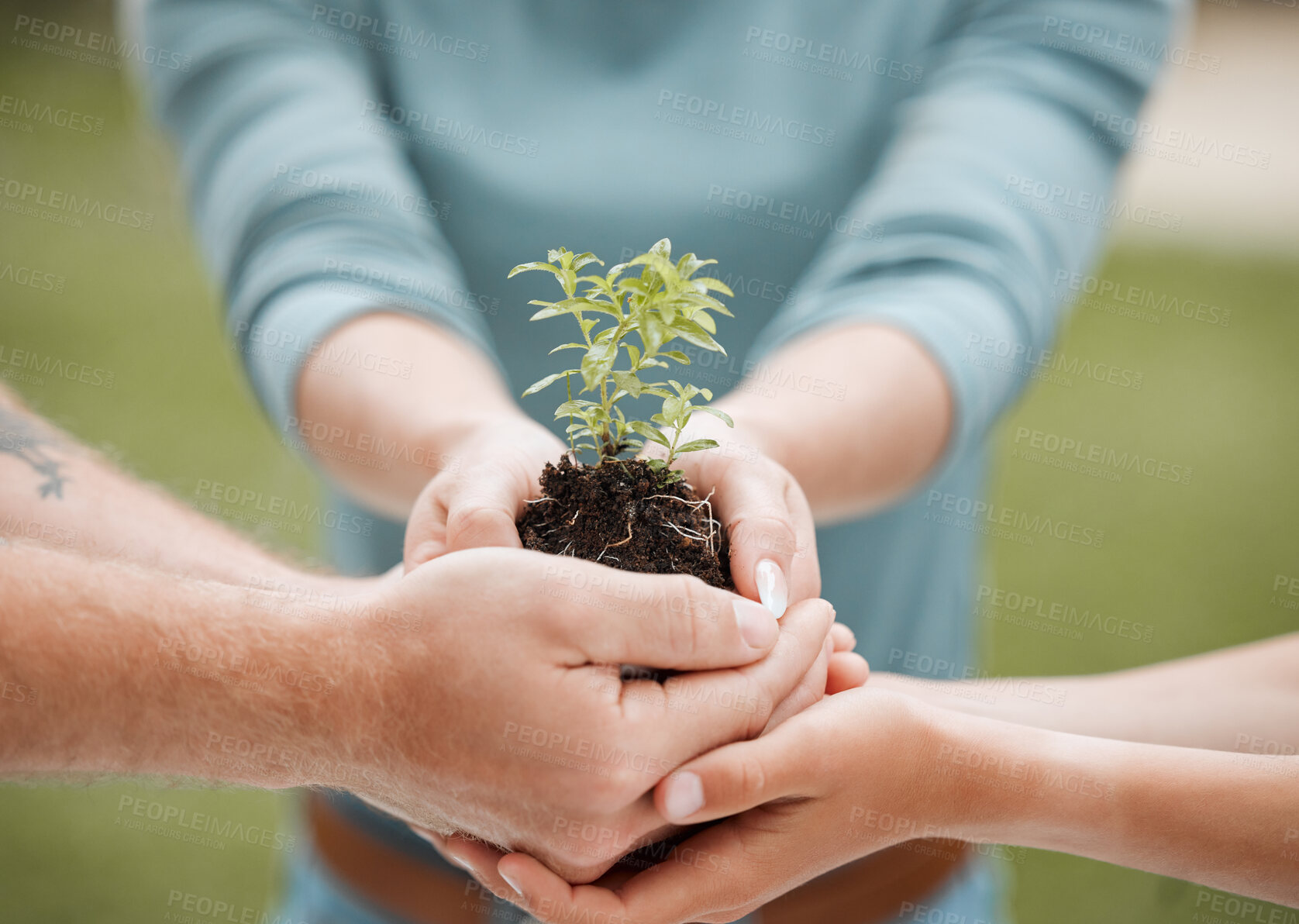 Buy stock photo Hands, plant and soil with nature, support and hope for sustainability and future. People closeup, environment and leaf for growth, accountability and development or green energy ngo with startup