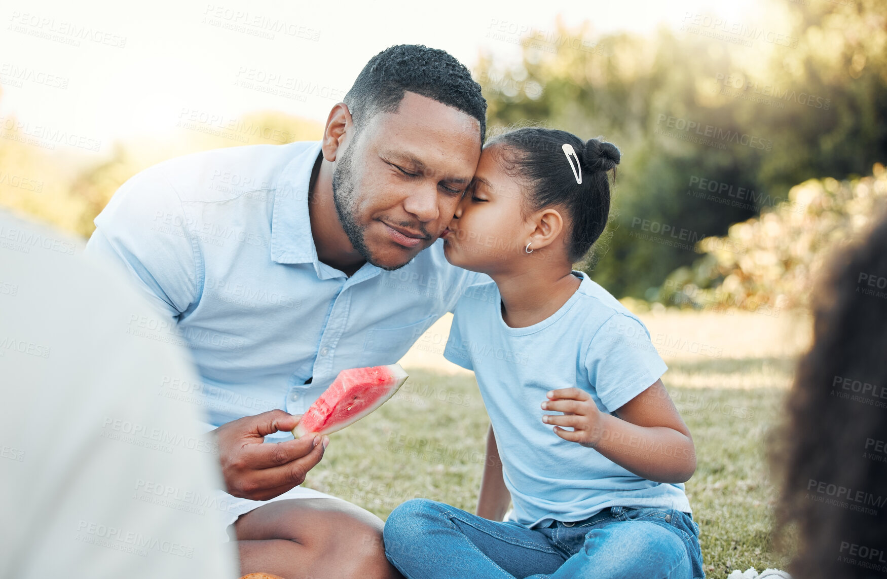 Buy stock photo Shot of a daughter kissing her dad at a picnic