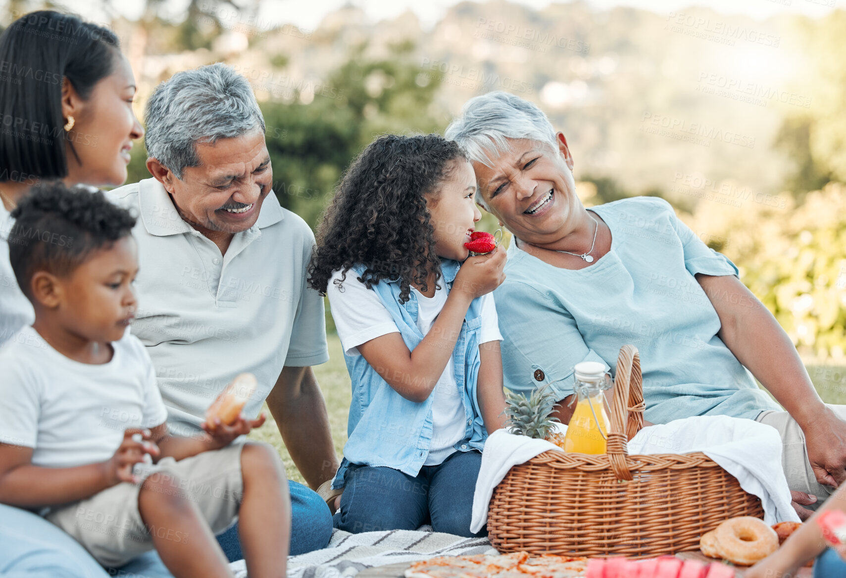 Buy stock photo Shot of a family enjoying a picnic in a park