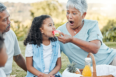 Buy stock photo Shot of a senior woman feeding her grand daughter some watermelon at a picnic