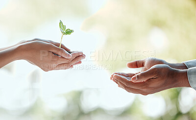 Buy stock photo Cropped shot of an unrecognisable woman standing and giving a seedling to a member of her support group