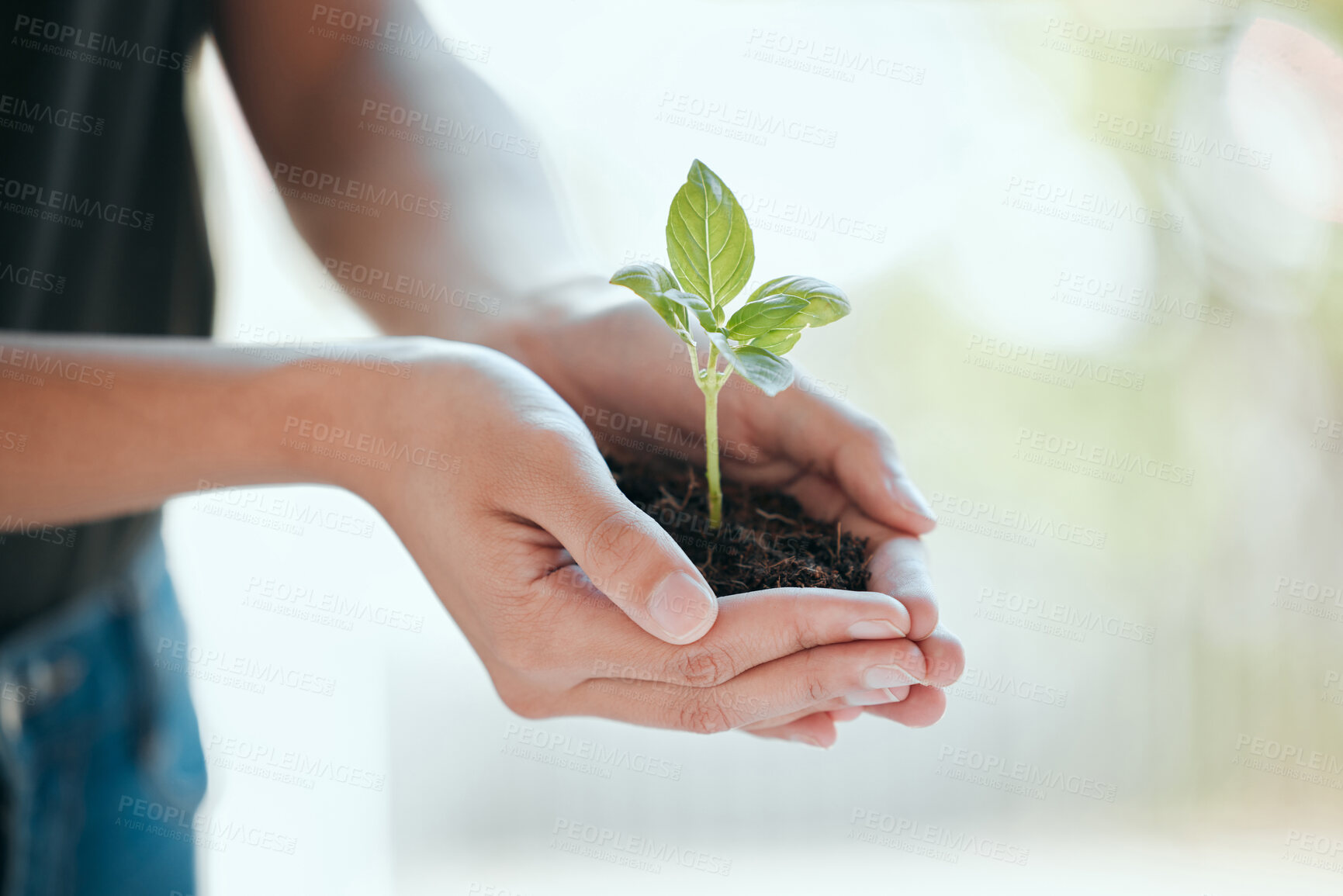 Buy stock photo Person, hands and hope with plant for growth, sustainability and gardening conservation for earth day. Agriculture, farmer and leaf in soil for fertilizer, ecology and support farming in nature