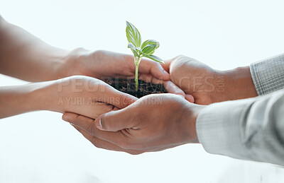Buy stock photo Cropped shot of an unrecognisable woman standing and giving a seedling to a member of her support group