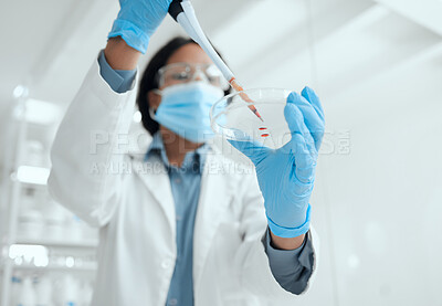 Buy stock photo Scientist, pipette and petri dish with blood in laboratory for medical research, experiment or DNA testing. Science, dropper and hands of pathologist with RNA engineering discovery for healthcare.