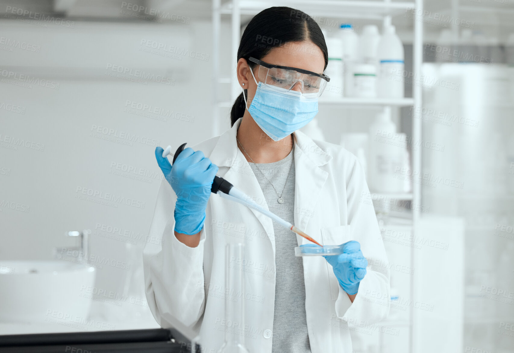 Buy stock photo Scientist, woman and petri dish for blood sample in lab with dna analysis, medical research and pharmaceutical trial. Pharma company, science professional and pipette for vaccine development with ppe