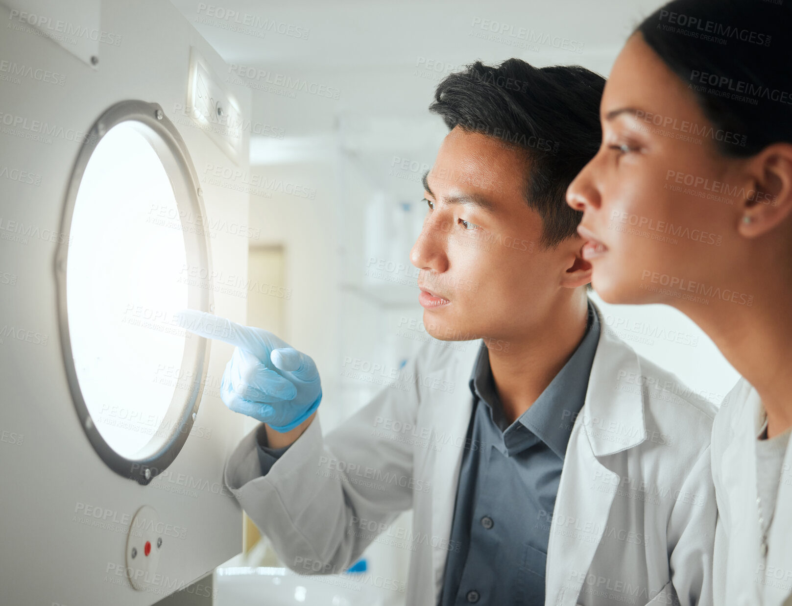 Buy stock photo Scientist, test and incubator in lab for research, collaboration and development with innovation results. Science, people and pointing for microbiome study, pharmaceutical or biotechnology experiment