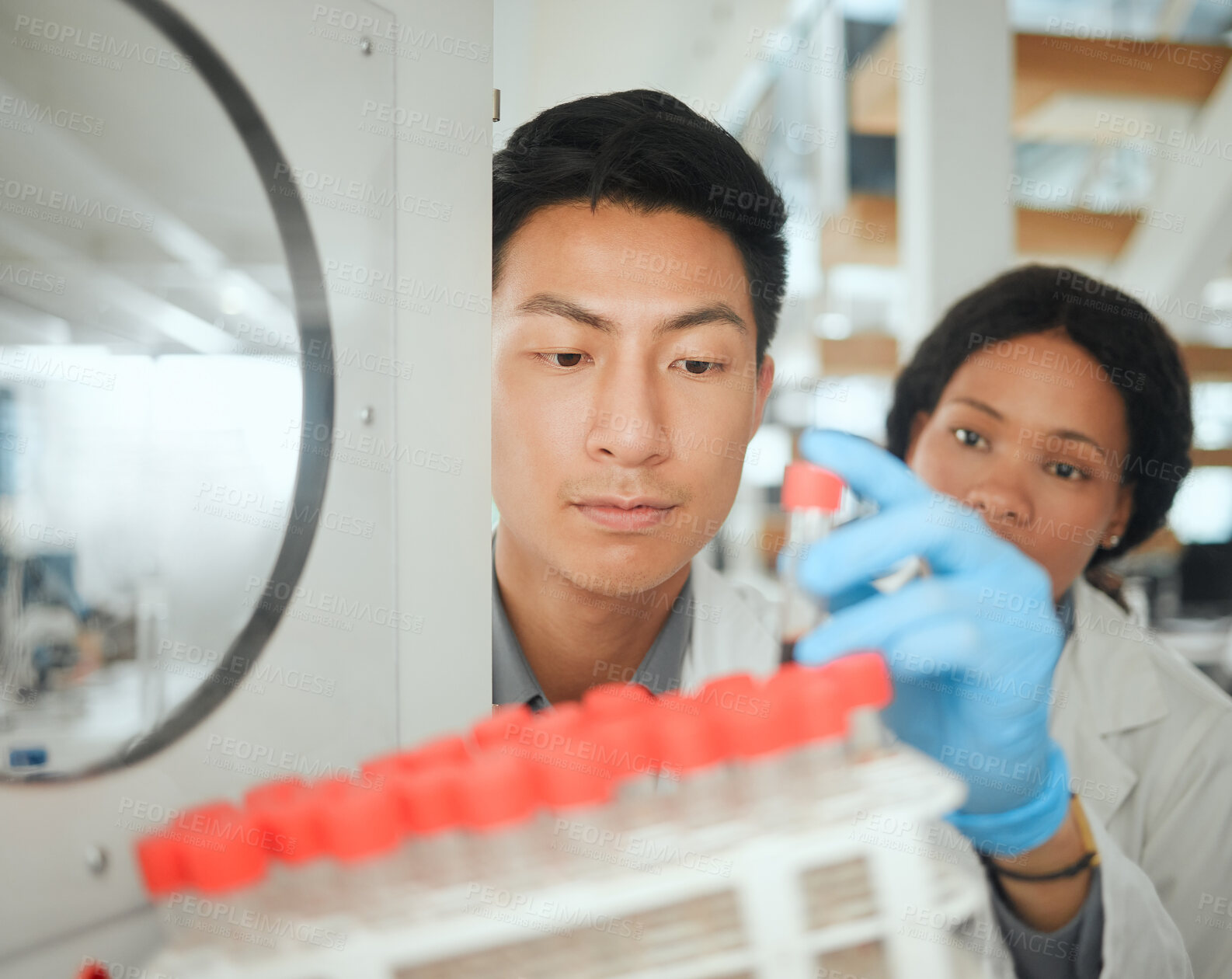 Buy stock photo Scientist, test tube and incubator in lab for storage, collaboration and virus with innovation results. Science, people and research for microbiome study, pharmaceutical and biotechnology experiment