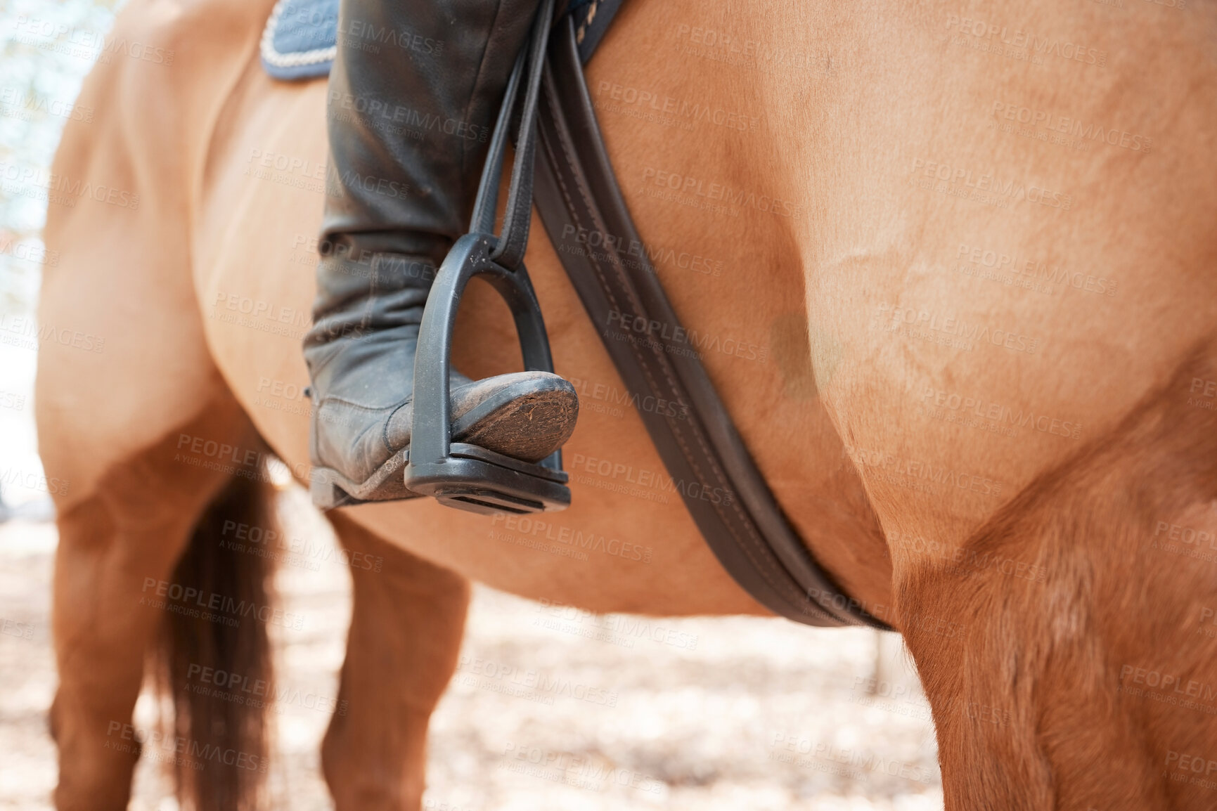 Buy stock photo Shot of an unrecognizable woman riding her horse outside