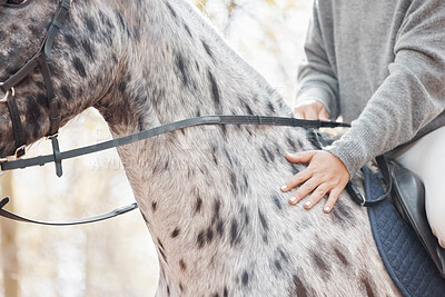 Buy stock photo Hands, woman and horse in nature for exercise, sports and riding or adventure in woods. Equestrian, female person and animal for workout, training and wellness or freedom in countryside or forest