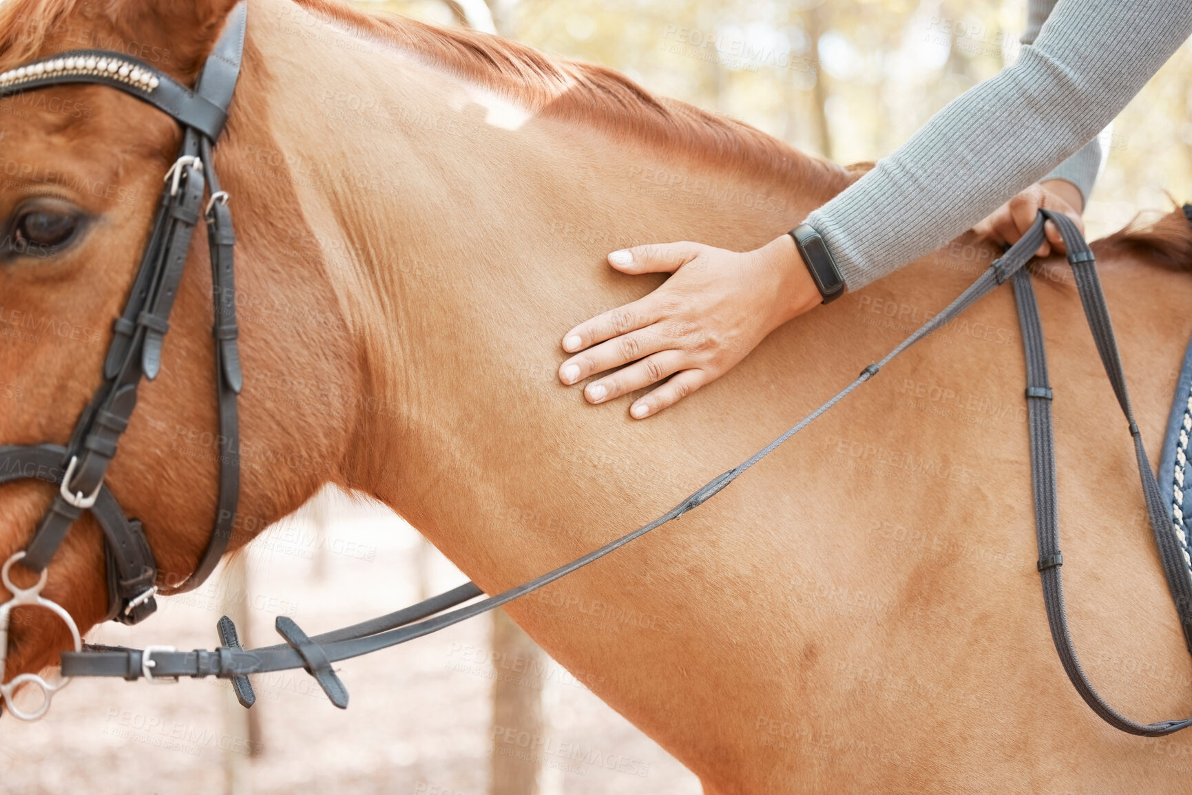 Buy stock photo Shot of an unrecognizable woman riding her horse outside