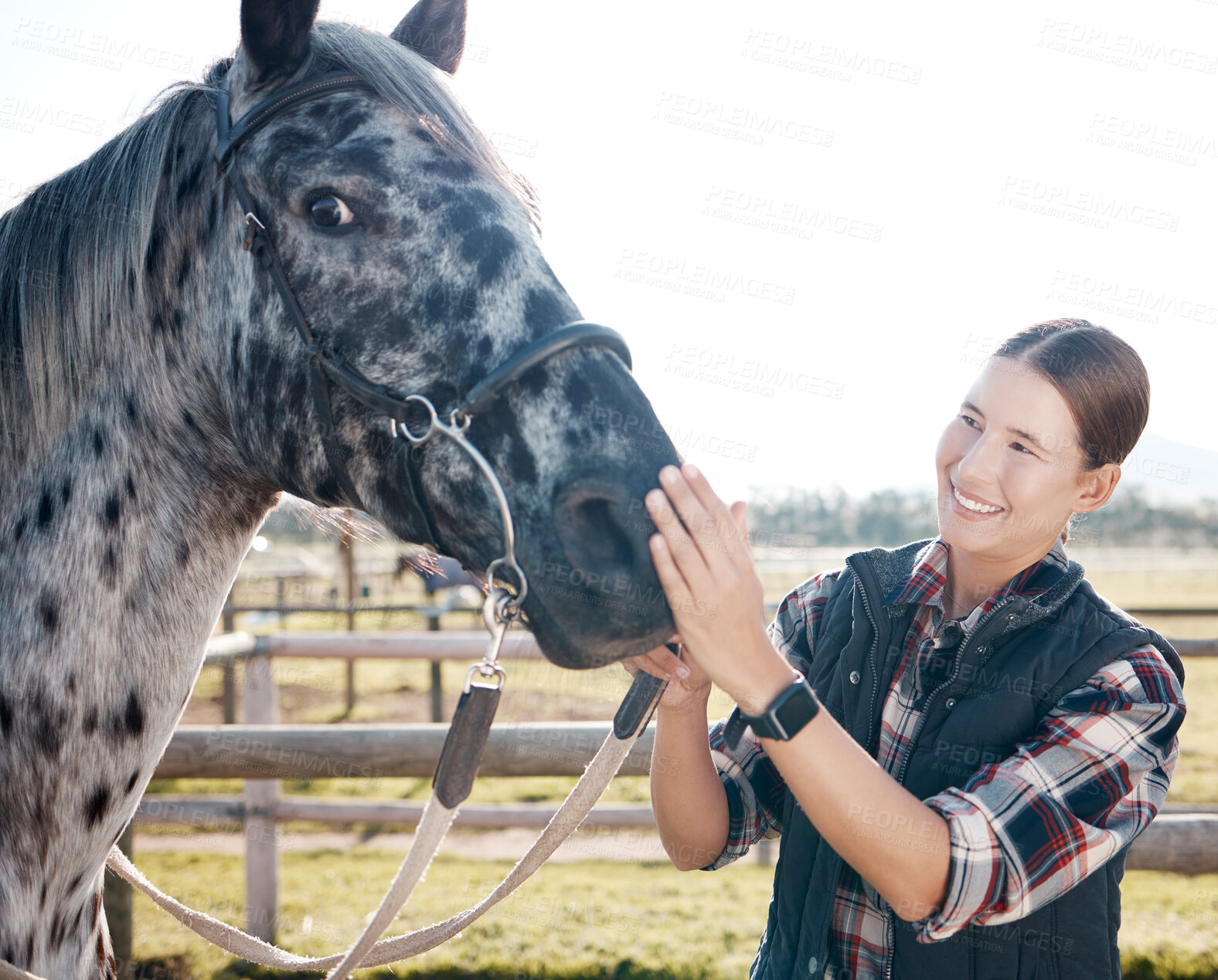 Buy stock photo Happy, woman and horse in nature for exercise, sports and adventure or freedom on ranch. Equestrian, female person or young farmer and animal with smile for training and pet in countryside of Texas