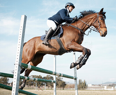 Buy stock photo Horse, show jumping and woman on ranch or farm for fitness, training and sport or competition. Event, animal and female jockey in countryside for course, dressage and performance in arena in Texas 