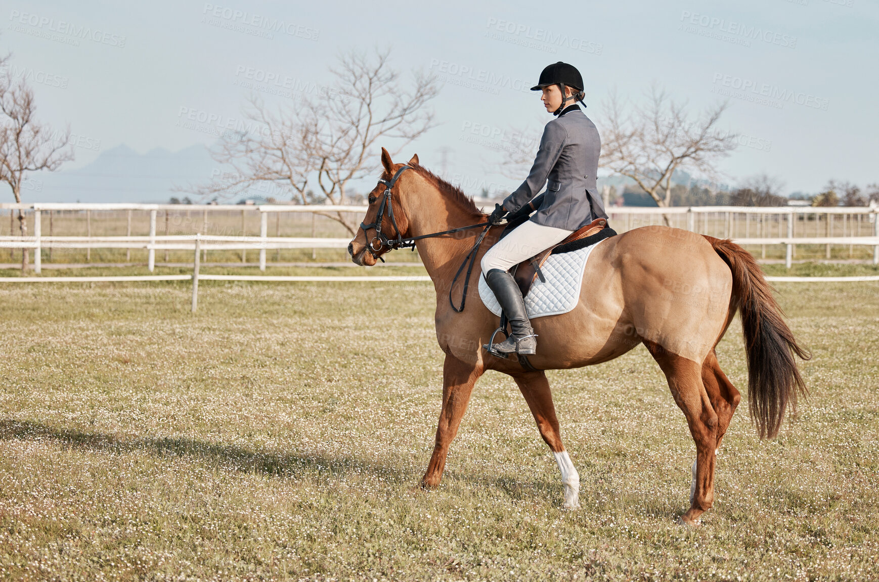 Buy stock photo Horse, walking and woman on ranch or farm for fitness, training and hobby or competition. Sport, animal and female jockey in countryside for event, dressage and performance in arena in Texas 