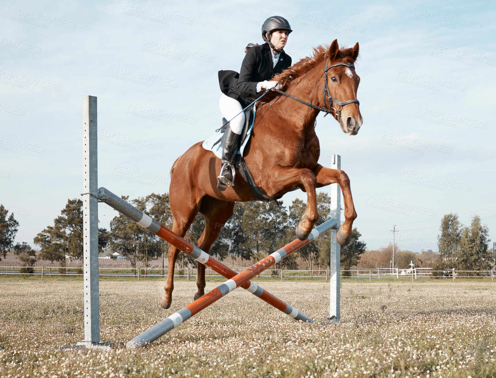 Buy stock photo Horse, show jumping and woman on ranch or outdoor for fitness, performance and sport or competition. Event, animal and jockey in countryside for rodeo, dressage and equestrian in arena for obstacles