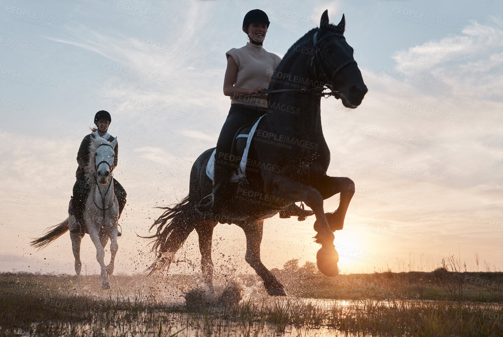 Buy stock photo People, women and portrait in river for horse riding, race and recreation for adventure for friends. Farm, females equestrian and stallion for training, equine sport and bonding with animals by flare