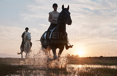 Buy stock photo Sunset, happy woman and horse riding in nature for relaxation, freedom and adventure outdoors. Smile, stallion and female jockey on ranch for bonding, equestrian or hobby in countryside with friend