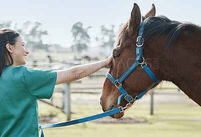 Buy stock photo Veterinarian, horse and care on outside farm, medical employee and animal healthcare checkup on ranch. Professional, rehabilitation and wellness for veterinary expert, doctor and illness diagnosis