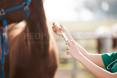 Buy stock photo Hands, horse and a vet with a syringe on a farm for the treatment or cure of an animal disease. Healthcare, medical and agriculture with a female doctor working on a ranch for veterinary insurance