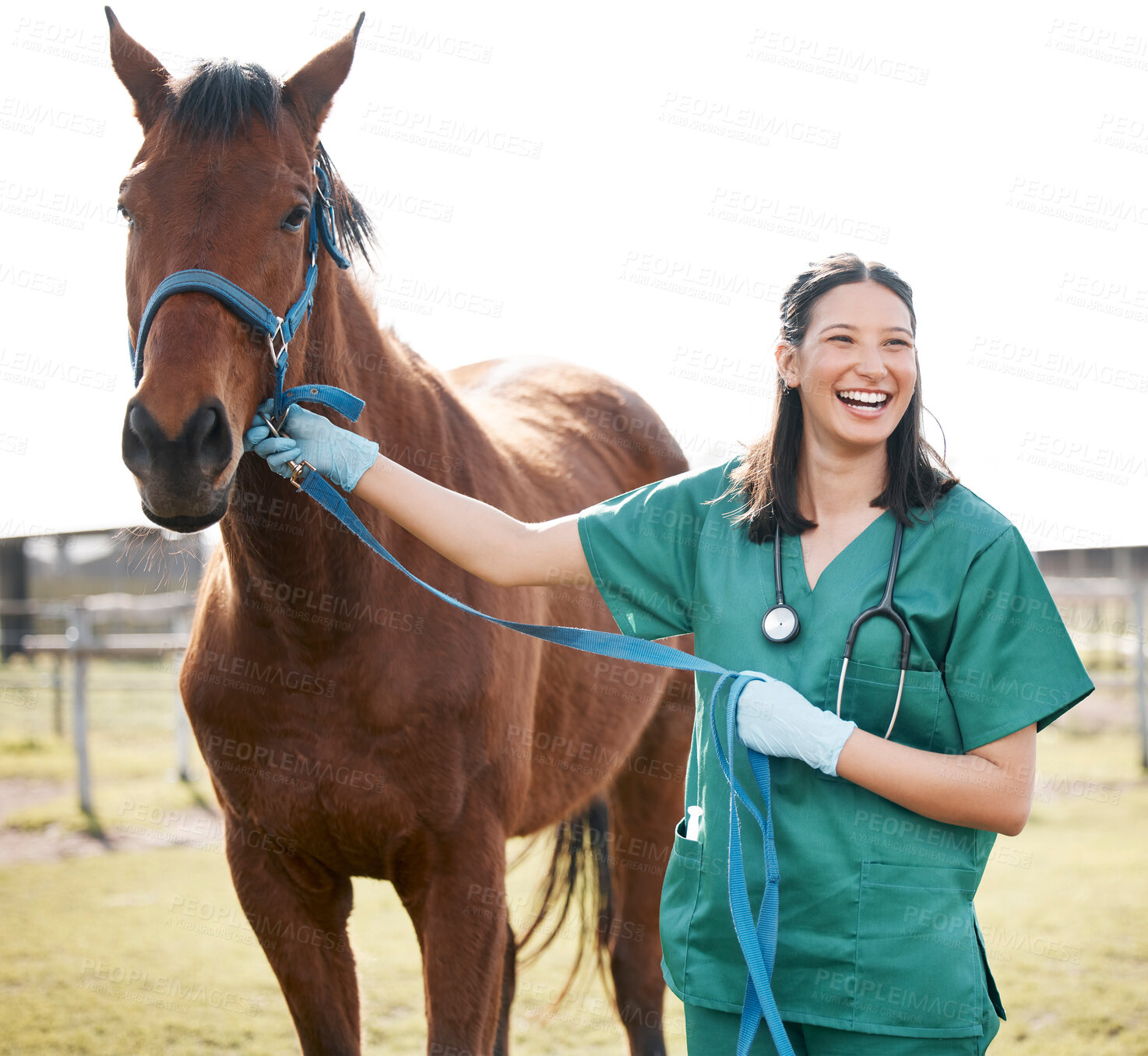 Buy stock photo Veterinarian, horse and care on countryside farm, medical employee and animal healthcare checkup on ranch. Professional, rehabilitation and wellness or veterinary expert, doctor and illness diagnosis