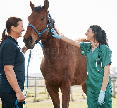 Buy stock photo Woman, vet and check horse health on farm, veterinary medicine and care for sick animal. Agriculture, farming and medical expert working in animals healthcare, wellness or veterinarian for pets